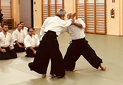 aikido-03